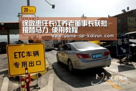 徐敬惠任长江养老董事长获批 接替马力_使用教程(图3) 使用教程